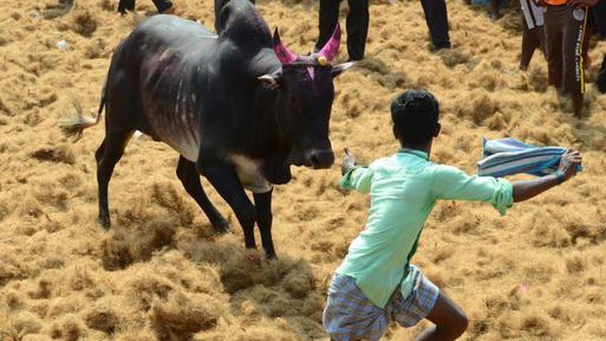 Remembering Rohith Vemula, BJP's 'blanket' protest, and other news in pictures The Hindu